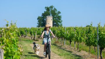 Entre vignes et châteaux une expérience unique à vélo en Gironde