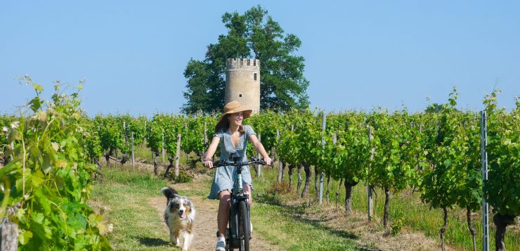 Entre vignes et châteaux une expérience unique à vélo en Gironde