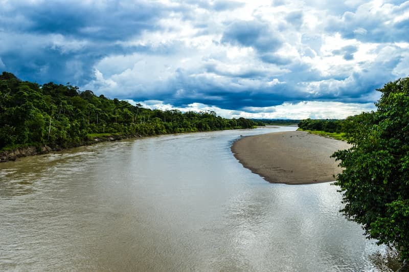 La jungle colombienne